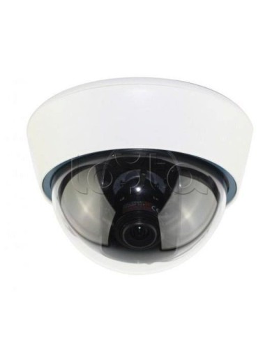 IP-камера видеонаблюдения купольная EverFocus ACE-IOV20A в Ярославле IP-камеры Pintop.ru