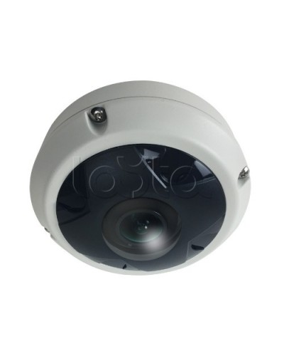 IP-камера видеонаблюдения купольная EverFocus ACE-KU89F в Ярославле IP-камеры Pintop.ru
