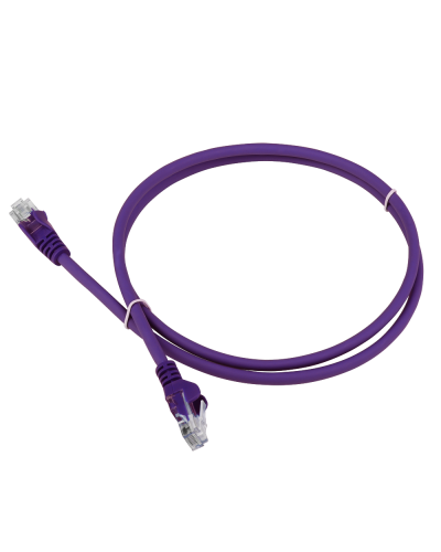 Патч-корд LANMASTER LSZH UTP кат.5e, 0.3 м, фиолетовый LANMASTER LAN-PC45/U5E-0.3-VI в Ярославле Патчкорды (медные) Pintop.ru